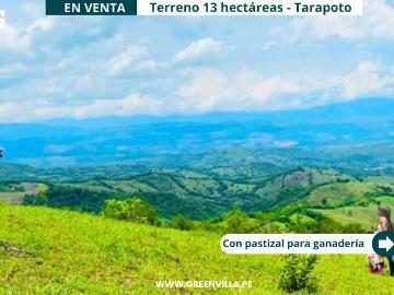 Venta de Terreno en Tarapoto, San Martín | Bolsa Inmobiliaria Perú
