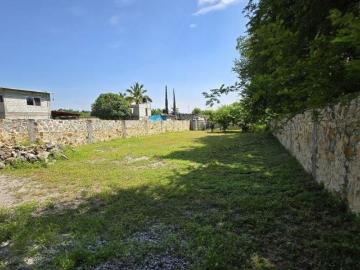 VENTA DE TERRENO EN TEHUIXTLA, JOJUTLA MORELOS
