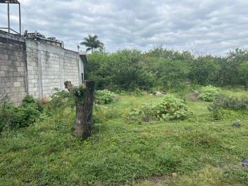 VENTA DE TERRENO EN TEZOYUCA DEL MUNICIPIO DE E. ZAPATA MORELOS