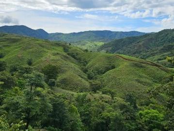 Venta de terreno en Torio, Veraguas