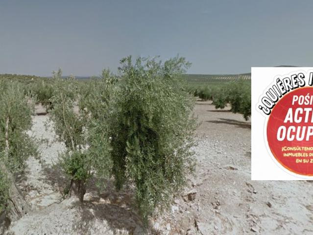 Venta de Terreno en Torredonjimeno Jaén