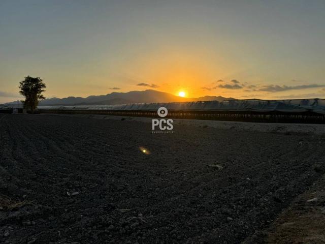 Venta de Terreno en Totana