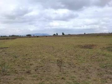 Venta de Terreno escriturado en Tezoyuca, estado de México. Puede ser Mixto