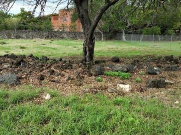 VENTA DE TERRENO, FRACCIONAMIENTO TEZOYUCA