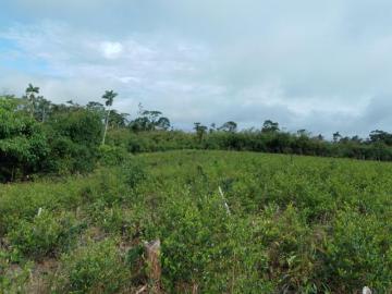 VENTA DE TERRENO GANADERO EN PILCOPATA