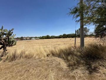 VENTA DE TERRENO HABITACIONAL DE 1 HA. CERCA DE HACIENDA PARAISO