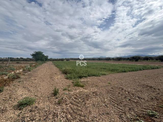 Venta de terreno llano de 2900 m² en Totana