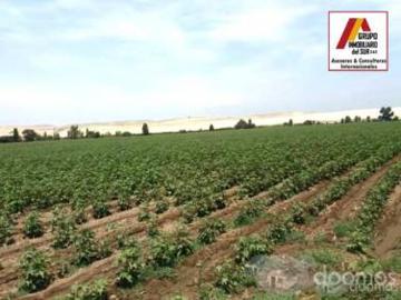 VENTA DE TERRENO PARA CASAS DE CAMPO Y PLAYA IDEAL PARA CABALLERIZAS DE 4.17 Has EN CAUCATO PISCO