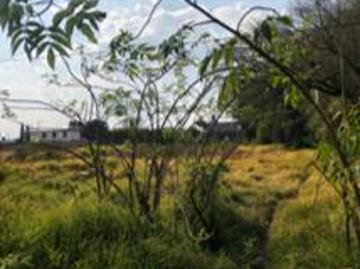 VENTA DE TERRENO PARA DESARROLLADORES 2,703m2 EN SAN MATEO ATENCO, San Mateo Atenco