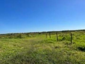 Venta de terreno pertenece al municipio de Motul