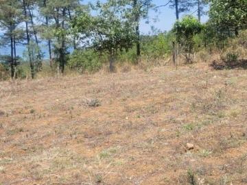 Venta de terreno plano con vista al lago