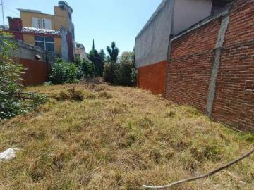Venta de Terreno Plano en Avenida Principal de Amalucan