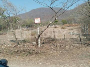 Terrenos en Venta – La Tehuixtlera, Yautepec, Morelos