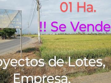 Venta de terreno proyecto de lotes