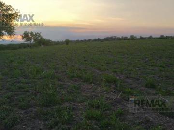 Venta de terreno rústico, 93,426 m2, en Jojutla, Morelos…Clave 6089