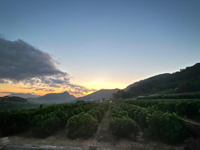 VENTA DE TERRENO RÚSTICO CON CULTIVO DE NARANJOS EN LA SAFOR