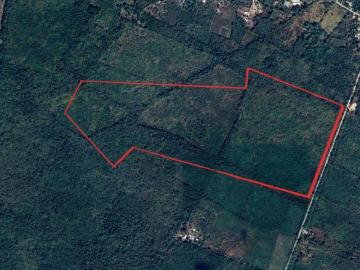 Venta de Terreno Rustico con cenote