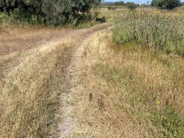 Venta de Terreno Rústico a 15 km de Juriquilla, Qro