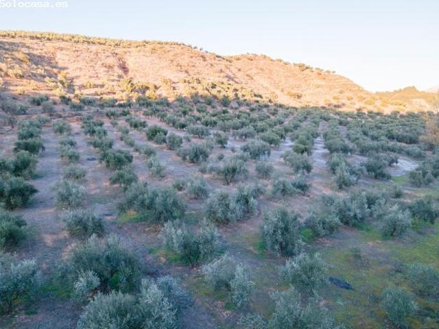 Venta de Terreno Rústico en Calicasas de 11.000 m2 d