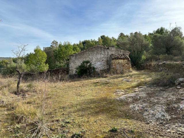 VENTA DE TERRENO RUSTICO EN JALON