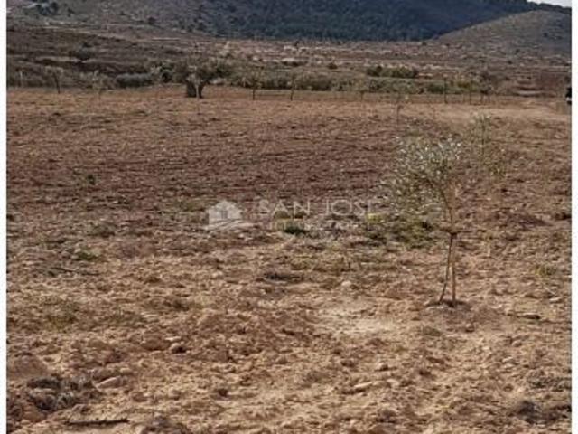 VENTA DE TERRENO RUSTICO EN LA CANALOSA