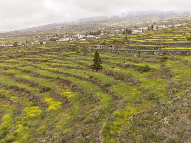 VENTA DE TERRENO RUSTICO LAS MORADITAS ADEJE