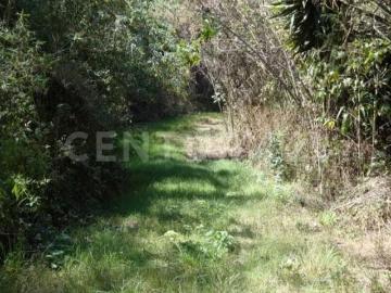Venta de Terreno Rancho Tonatico