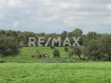 Venta de terreno residencial en Rancho Nuevo de la Banda, San Miguel de Allende, Guanajuato