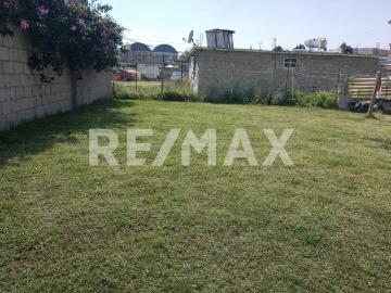 VENTA DE TERRENO SAN MATEO ATENCO BARRIO DE SAN FRANCISCO