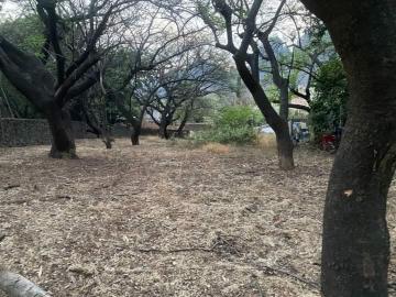 Venta de terreno, Tepoztlan, Morelos Colonia del Carmen $2,800,000.00