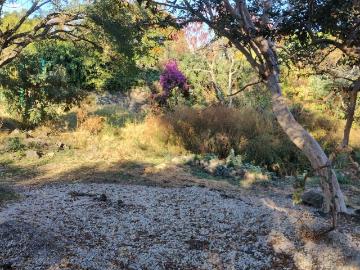 Venta de terreno, Tepoztlan, Morelos Colonia del Carmen $2,800,000.00