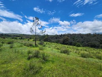 VENTA DE TERRENO 16,377 M2 EN ZACATLÁN, PUEBLA