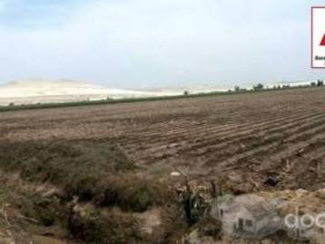 VENTA DE TERRENO 13.68 HA. EN SAN CLEMENTE PISCO, CHINCHA