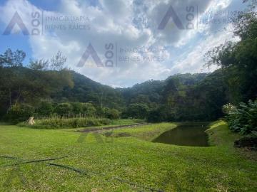 Rancho en Paraje Nuevo Centro, Amatlán de los Reyes, Veracruz