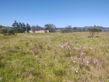 VENTA DE TERRENO 4,000 M2, ZACATLÁN, PUEBLA