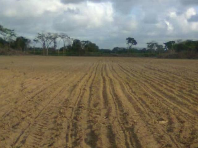 Venta de Terreno 4,5 Has, Chichiriviche