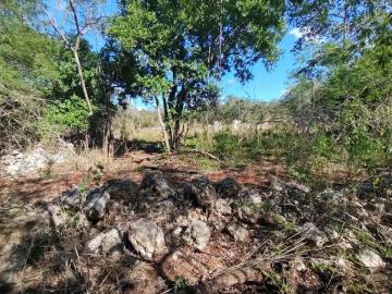 VENTA DE TERRENO 4 HAS EN XANABA IZAMAL YUCATAN