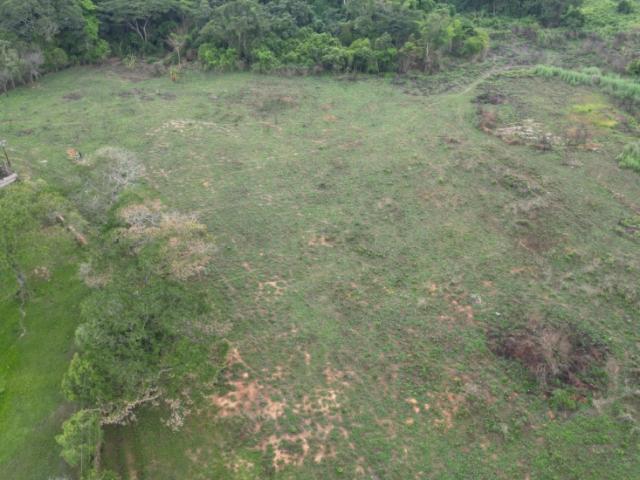 Venta de terreno 6000Mtrs² aprox. Guataparo, cerca del Solar
