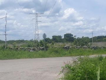Venta de Terrenos Ubicados sobre carretera Temax, Yucatán Tizimín