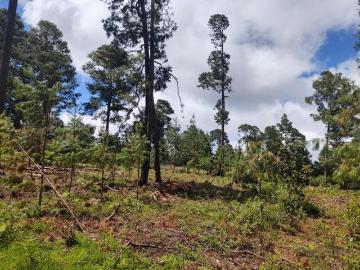 VENTA DE TERRENOS DE 904 M2 EN ZACATLÁN, PUEBLA