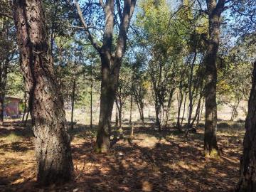 VENTA DE TERRENOS DE 1981 M2, ZACATLÁN, PUEBLA
