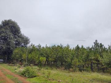 VENTA DE TERRENOS DE 1,530 M2, ZACATLÁN, PUEBLA