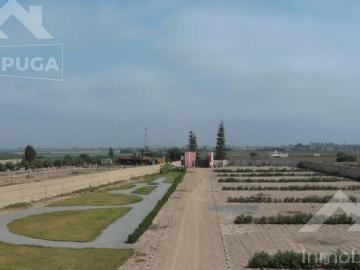 VENTA DE TERRENOS EN EL CARMEN CHINCHA