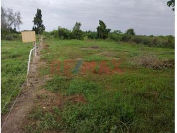 Venta De Terrreno 540 M2 Monsefú – Calazan. J.RUIZ