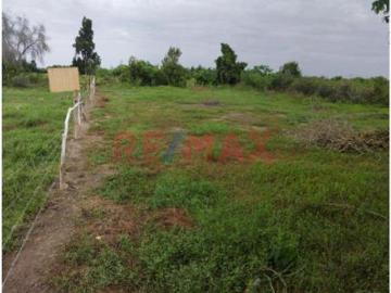 Venta De Terrreno 540 M2 Monsefú – Calazan. J.RUIZ