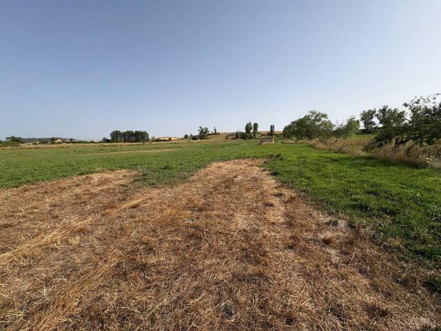 Venta de un terreno en Conejera