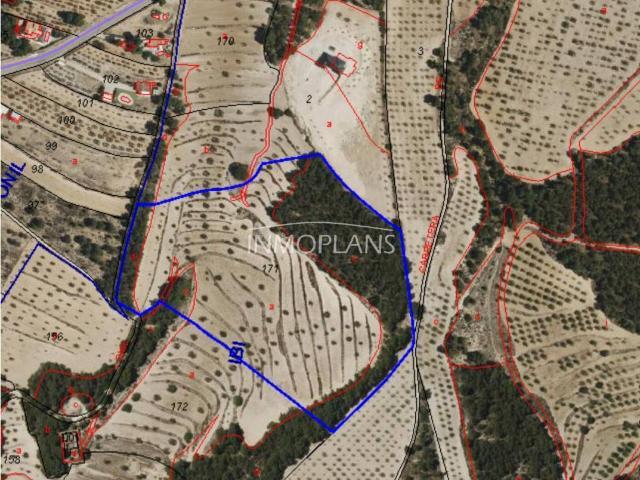 Venta de amplia finca rústica en Ibi