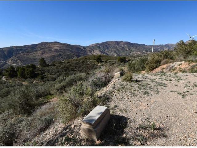 VENTA DE BONITA FINCA DE OLIVOS EN LANJARÓN GRANADA
