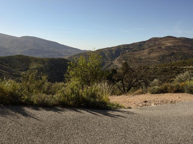 VENTA DE BONITA FINCA DE OLIVOS EN LANJARÓN GRANADA