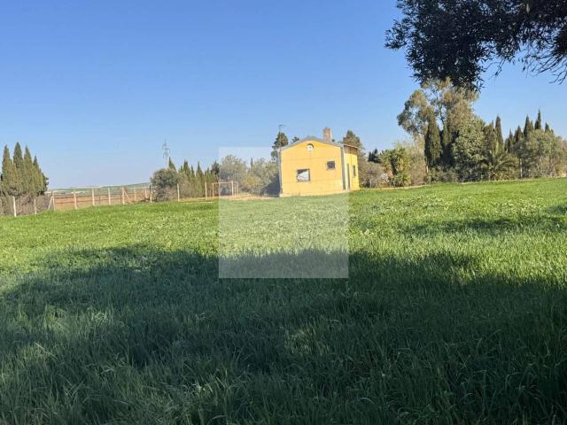 VENTA DE CAMPO RUSTICO EN LEBRIJA SEVILLA